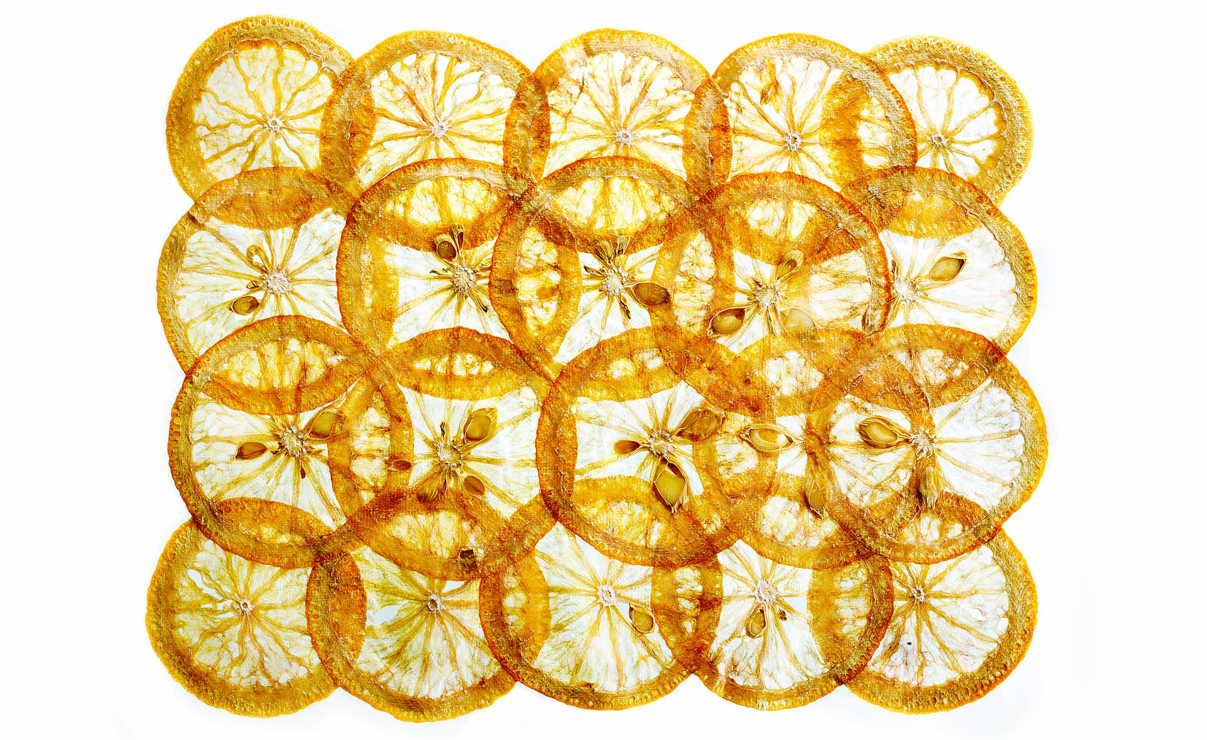 Glasshouse Assignment - David Bishop - Elements Series - Dried Orange Slices