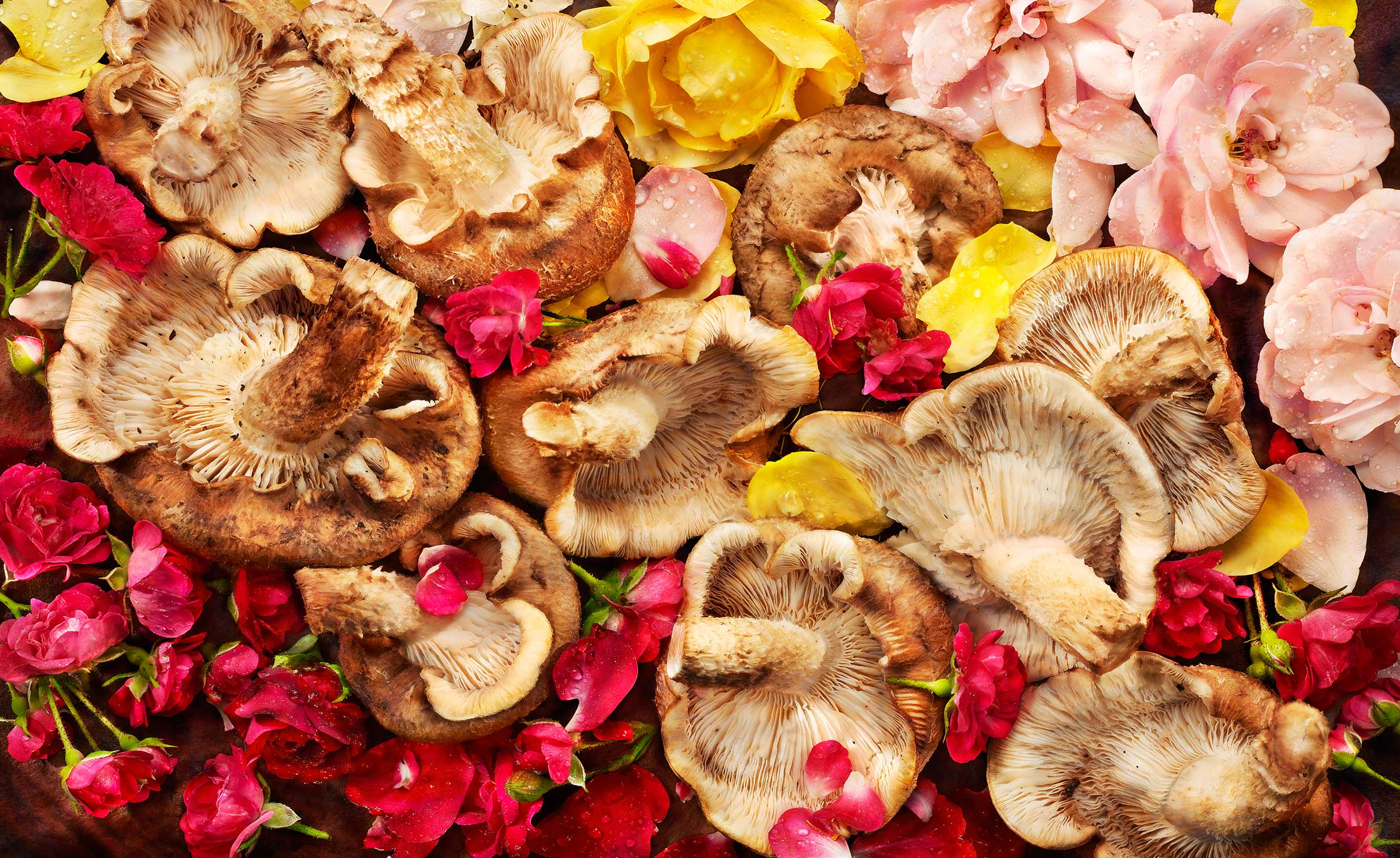 Edibles: Roses and Mushrooms2