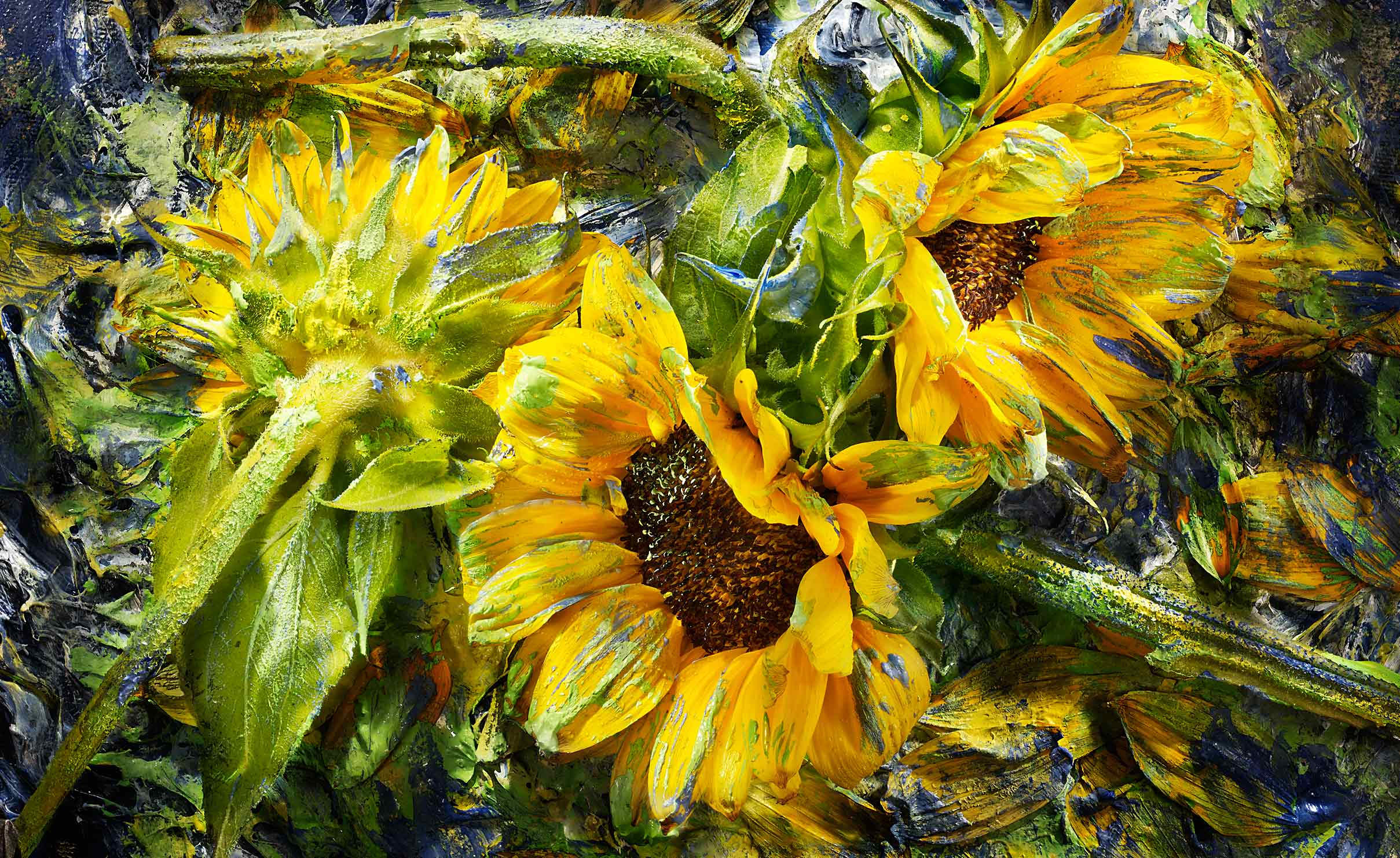Edibles: Sunflowers_2