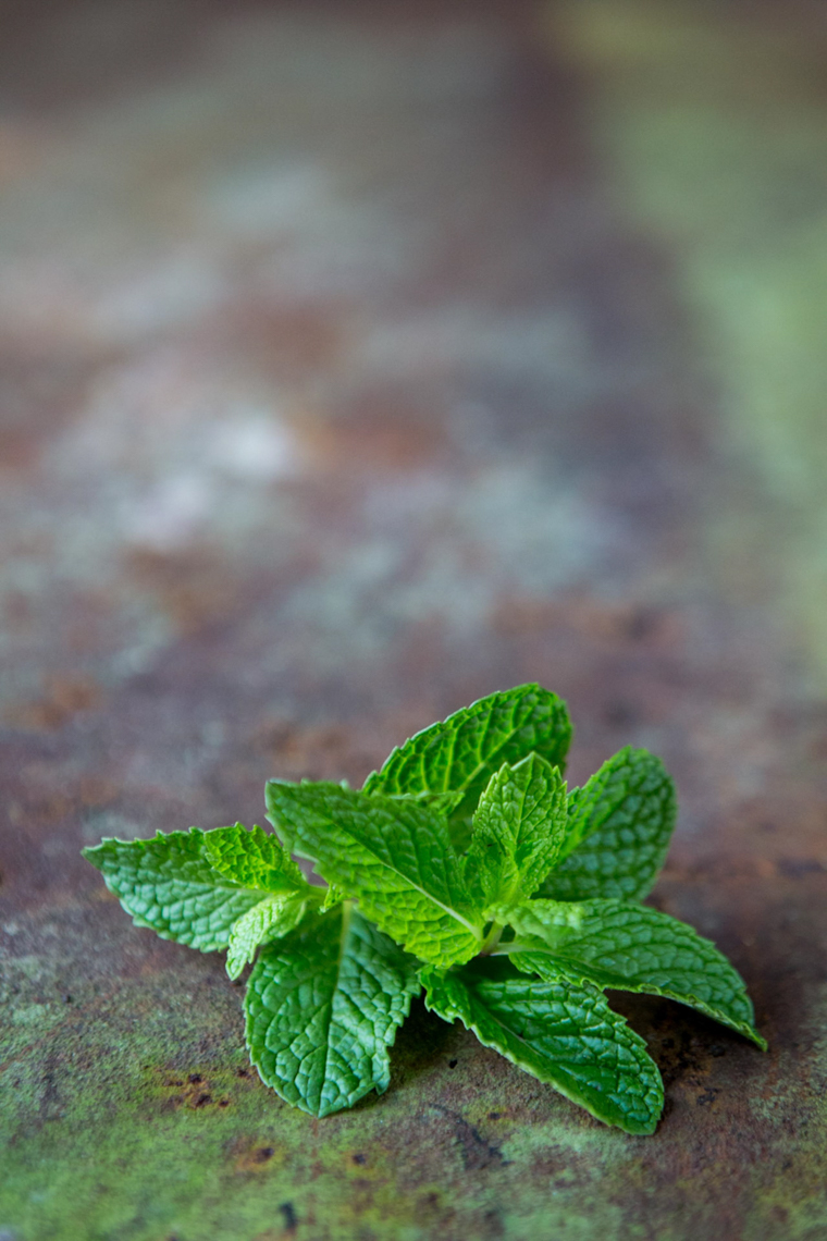 Food-Photography-Charleston-South-Carolina-14-