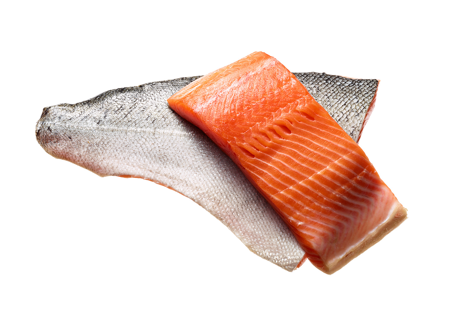 KK_salmon.jpg