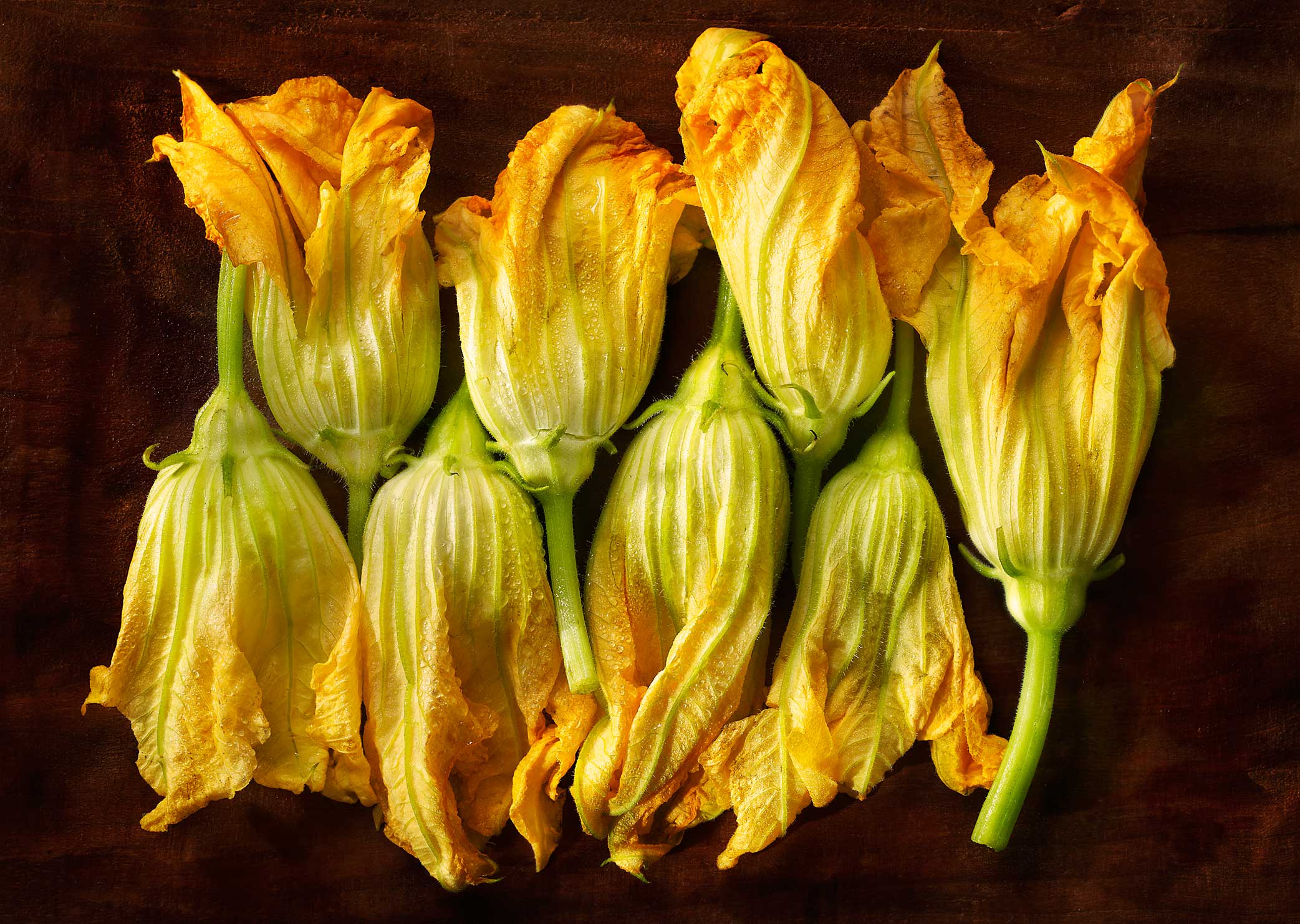 Glasshouse Assignment - David Bishop - Elements Series - Zuccini Flowers