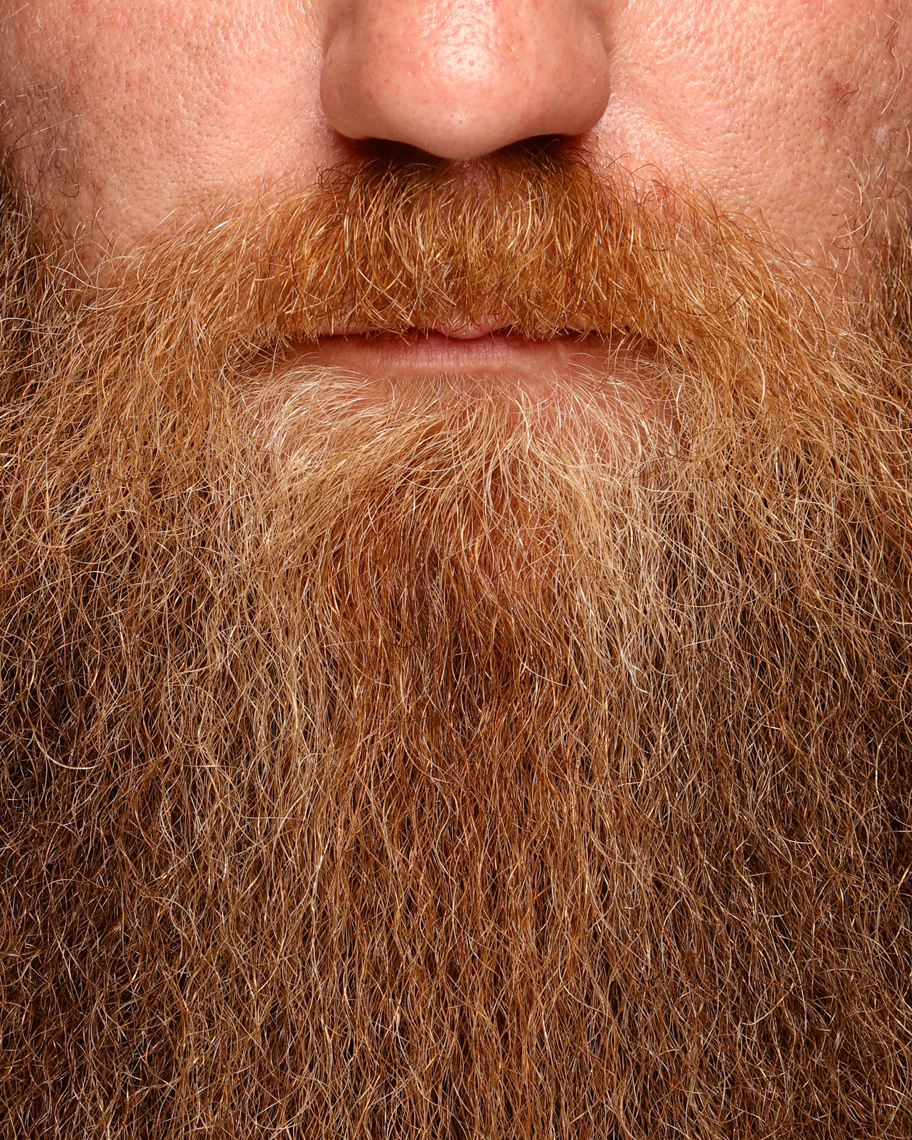 beards022