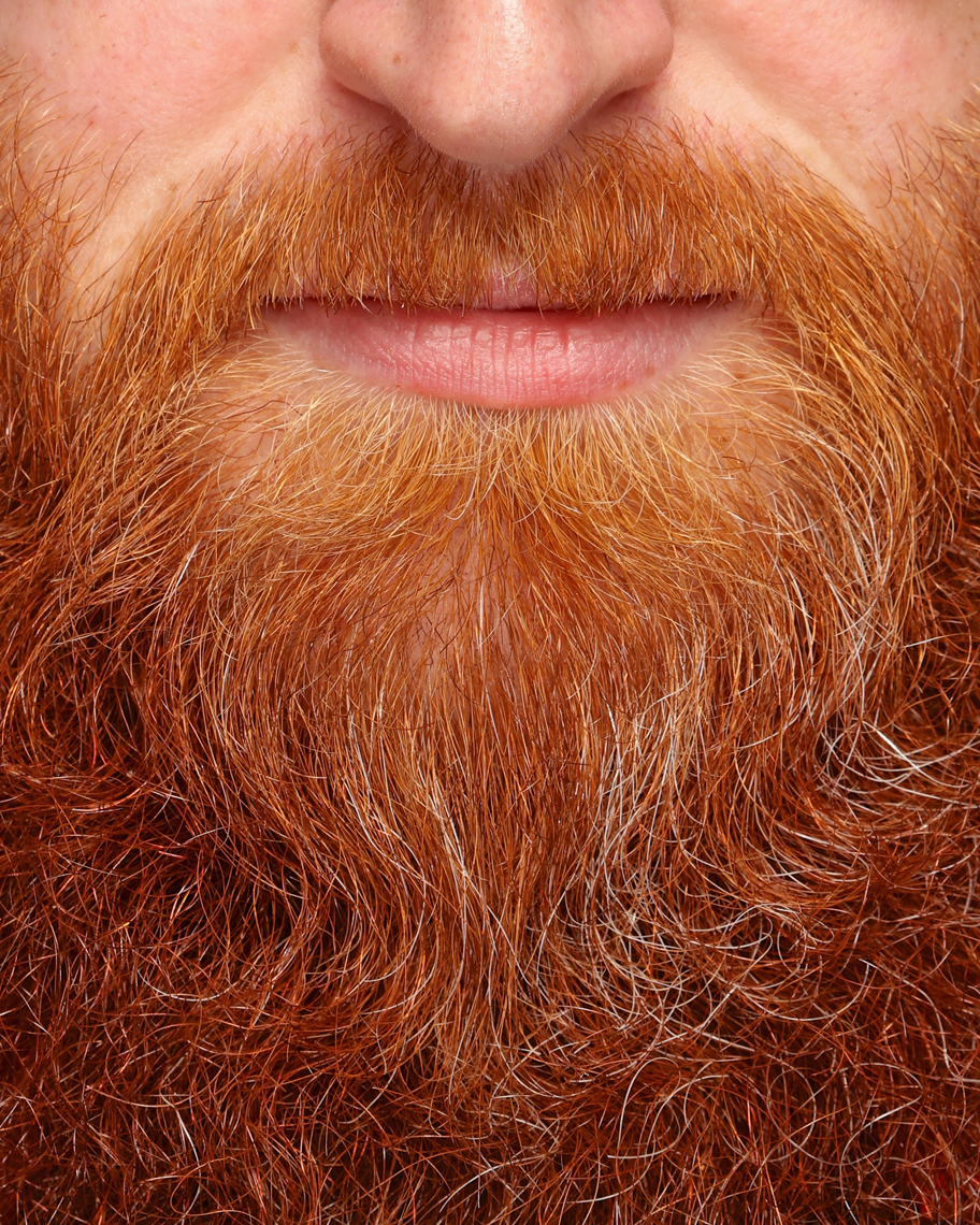 beards05