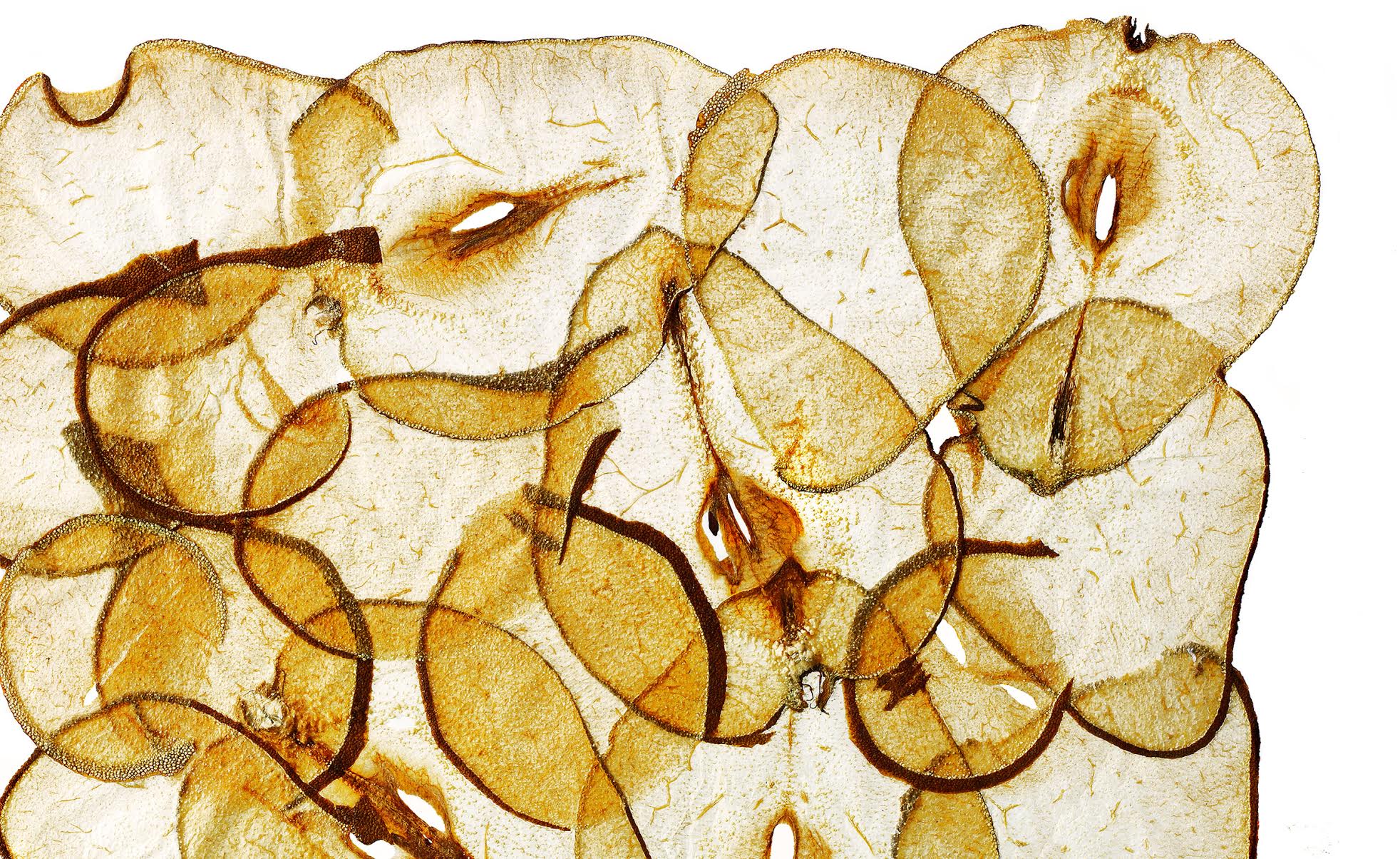 Glasshouse Assignment - David Bishop - Elements Series - Dried Pears